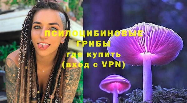 спайс Алексин