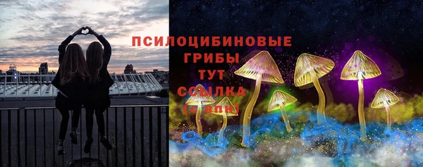 спайс Алексин